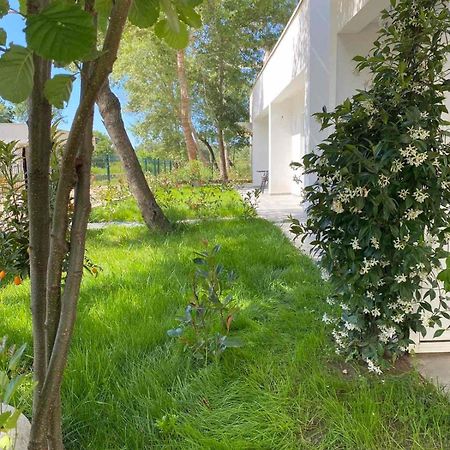 Villa Hanna Ulcinj Bagian luar foto